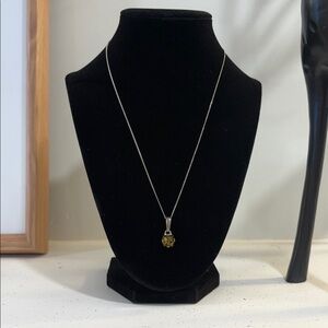 ❣️Vintage Elegant Silver Necklace with Amber Pendant